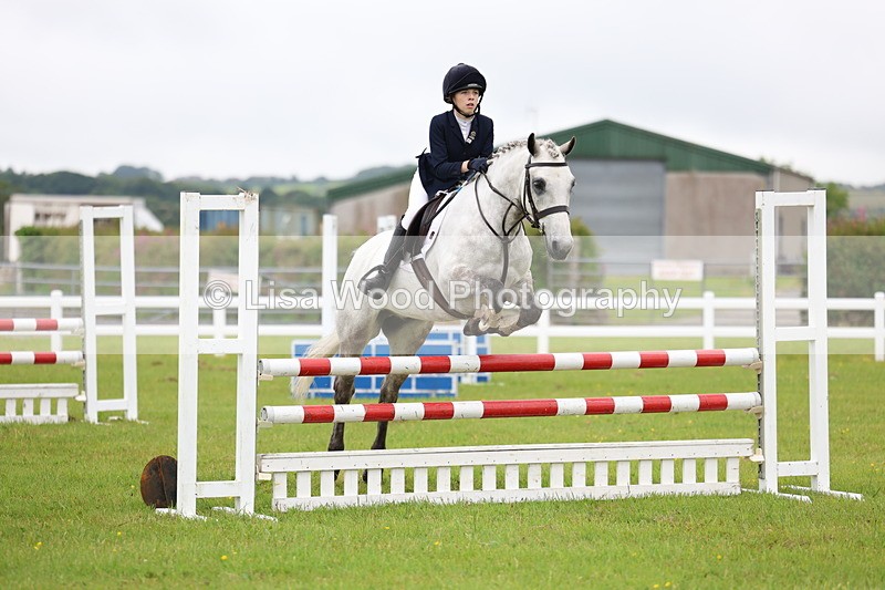 3E7A6603 - Class 9: Pony Discovery/90cm open