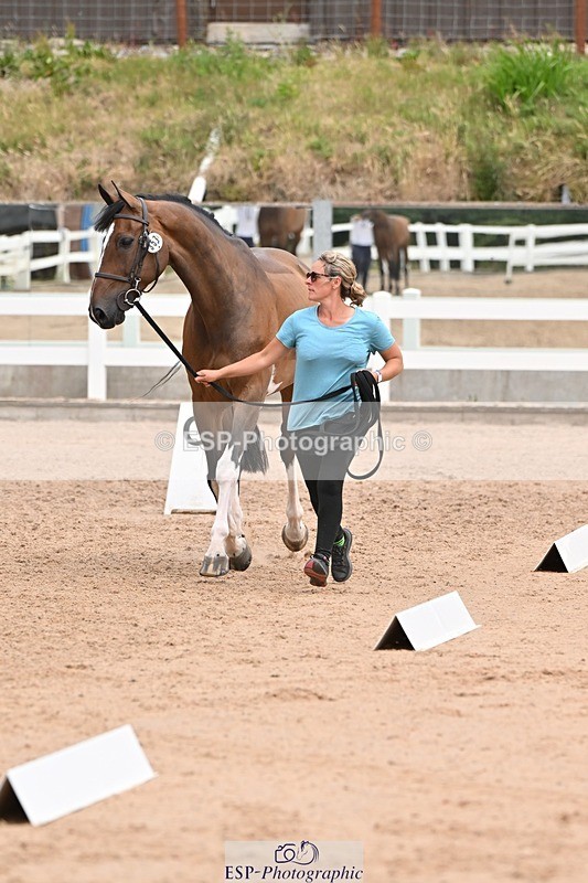 250716-144114-01301 - Trot Up 2.30 to 3.30