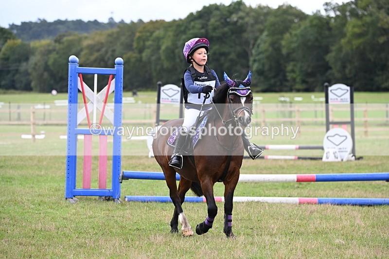 WJ6_0231 - 40cm Time 10:00 to 10:28
