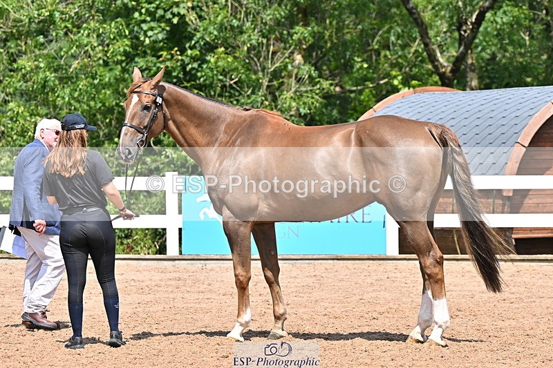 240718A-105311-01668 - Trot Up 1pm to 2pm