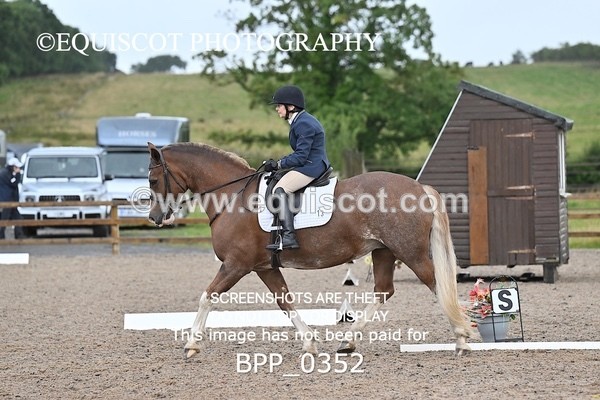 BPP_0352 - PRELIM 4