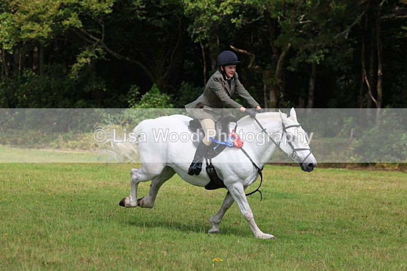 3E7A6116 - Working Hunter Championship