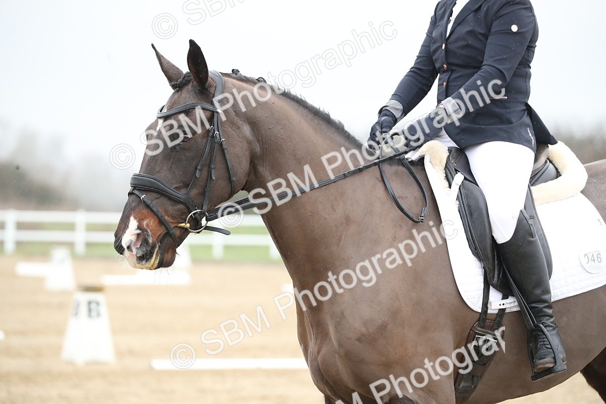 SBM_004520 - Novice 3