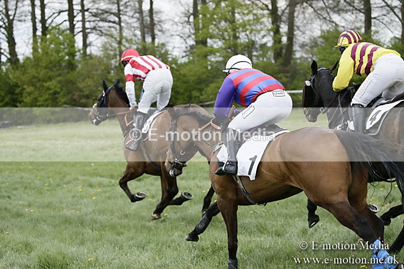 PtP 170417 461 - Old Berks Point-to-Point Lockinge 17/04/17