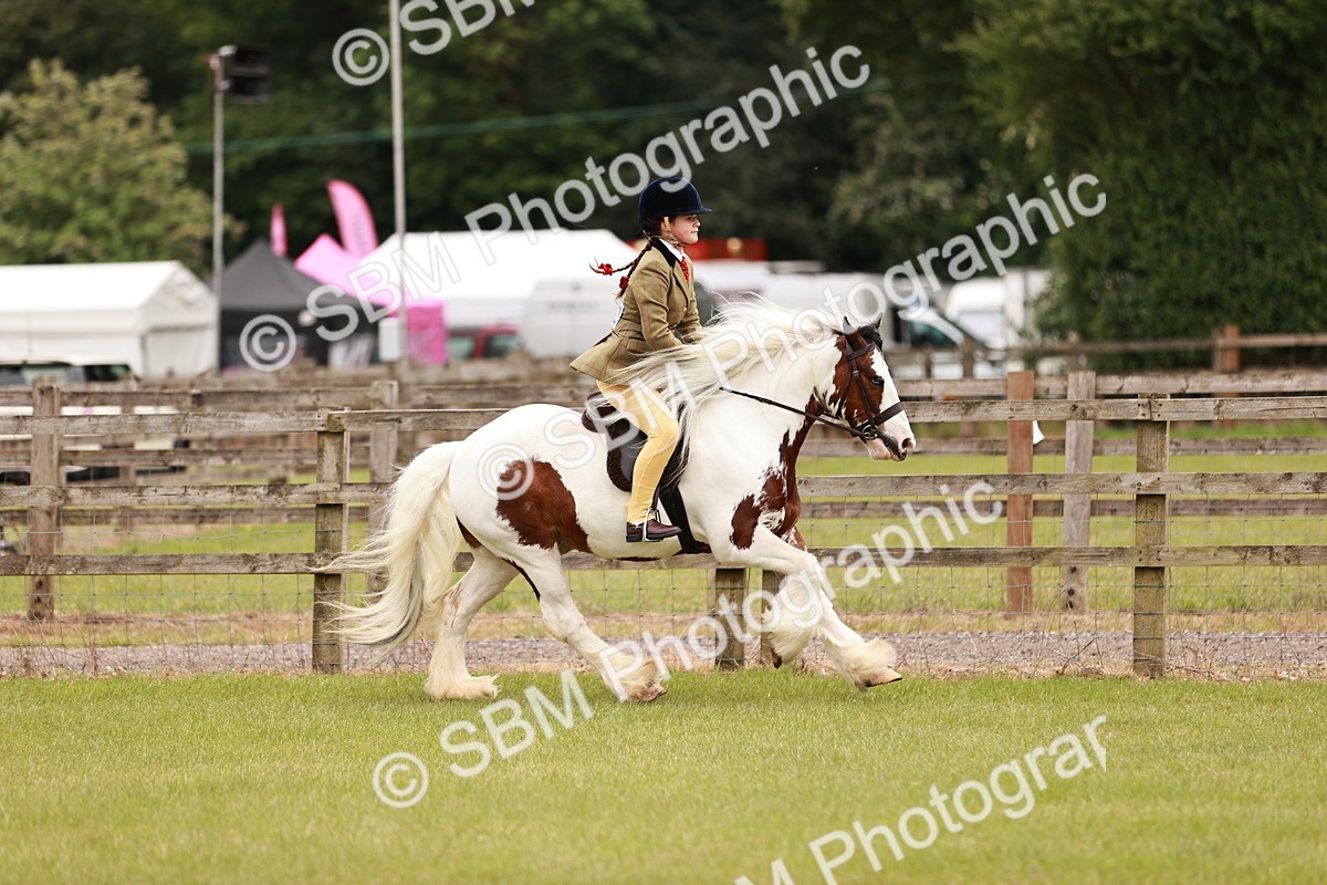 SBM_06203 - Class 39-41 TGCA In Hand and Ridden