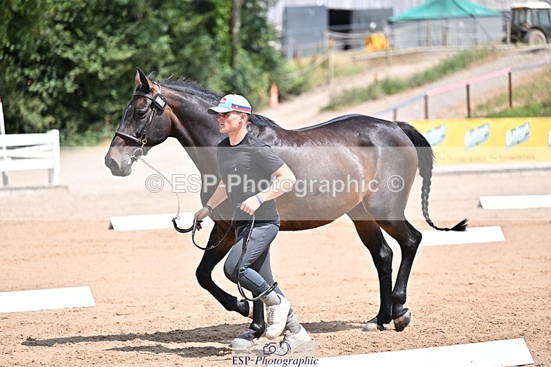 250716-125127-00205 - Trot Up 12.30 to 1.30