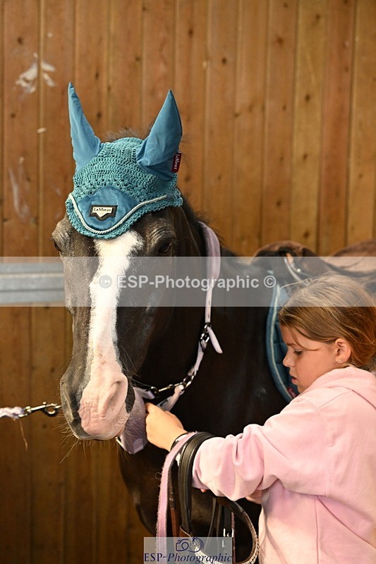 240809A-090604-00053 - Stable Shots