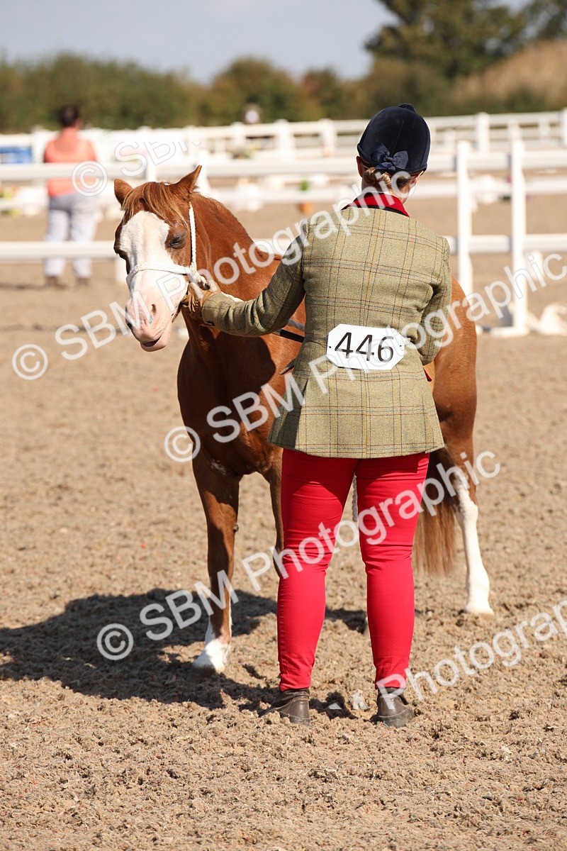 SBM_02750 - Class 16 IH M&M Wildcard