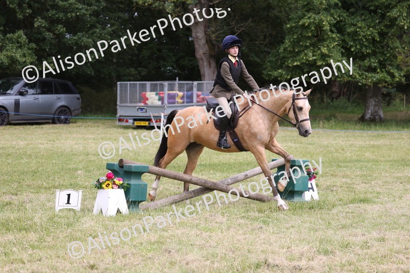 20260614-2952 - Class 22 - Open Working Hunter