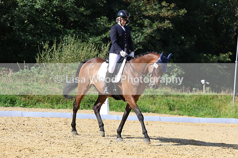 3E7A2571 - Class 1: Intro 4 2024 section A