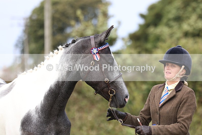 3E7A5443 - Class 19: Best Coloured in Hand