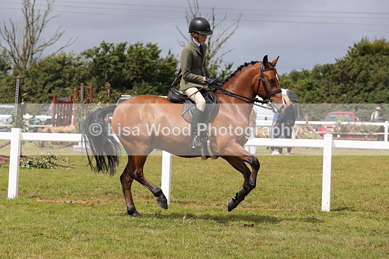 1X9A4230 - Plaited Ridden Championship
