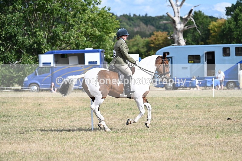 WJ7_7457 - Class 14 Ridden Coloured