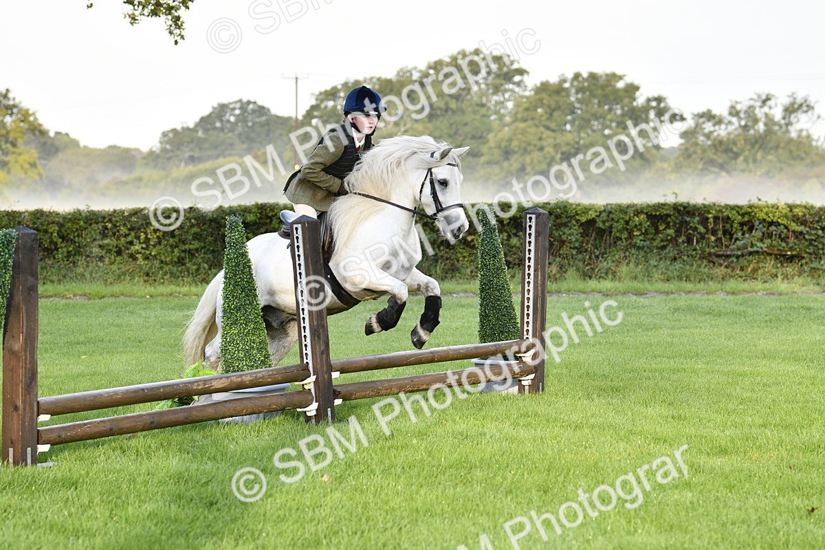 SBM_35395 - S30 - Nursery Stakes Working Hunter Pony
