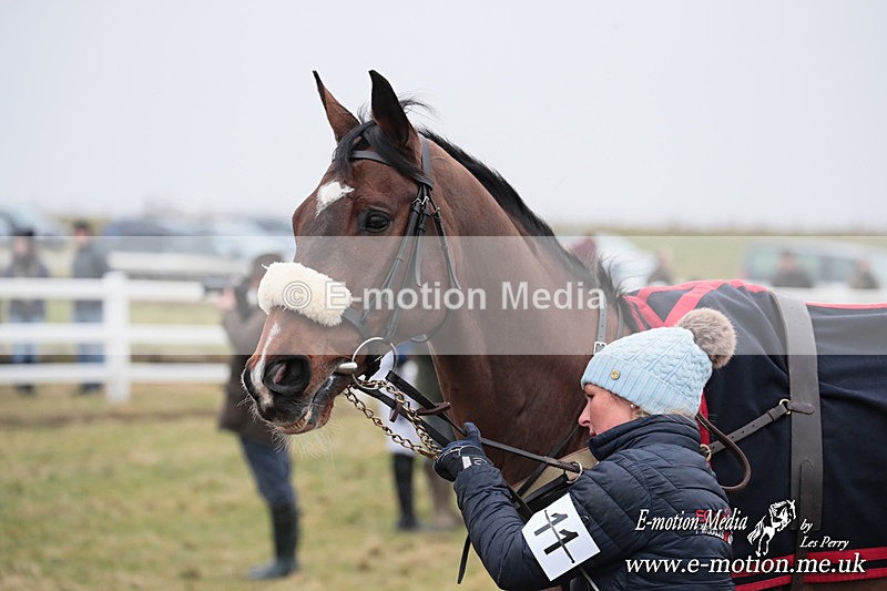 PtP 160225 654 - Combined Service Point-to-Point Races Larkhill 16/02/25