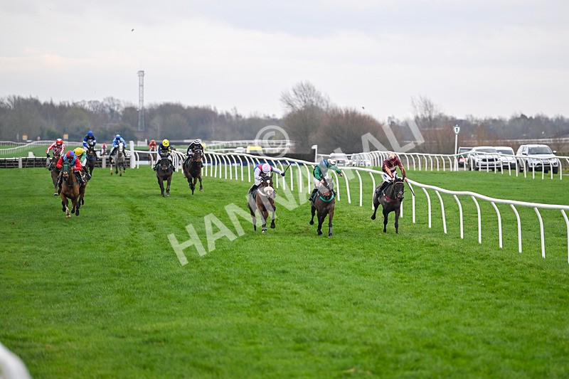 171224-Race 5-Wrappedinrubies-3401 - Race 5