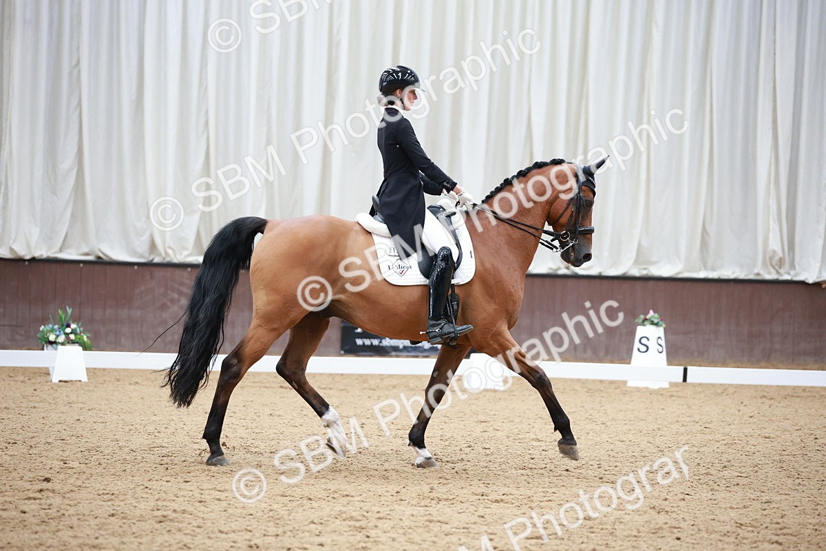 SBM_009617 - Class 13 - FEI PSG - 11.06-12.34