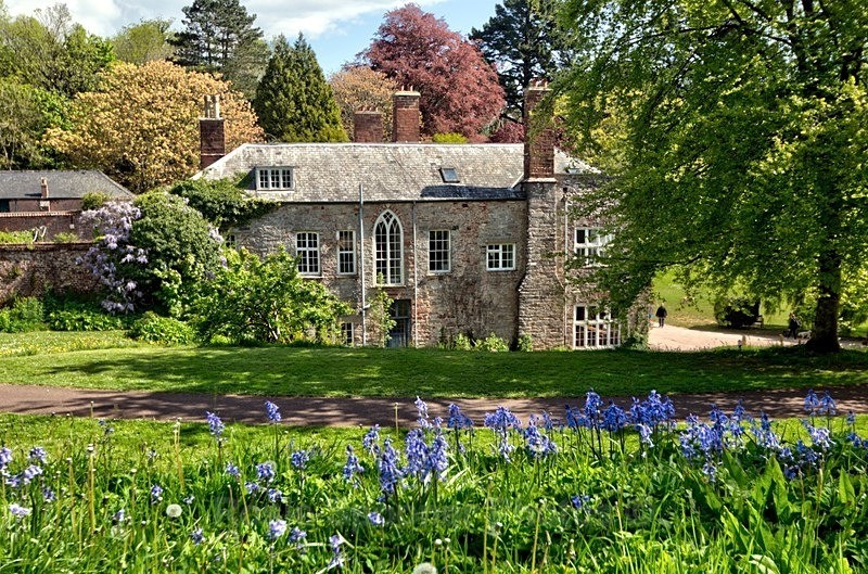 Springtime at Cockington - Cockington