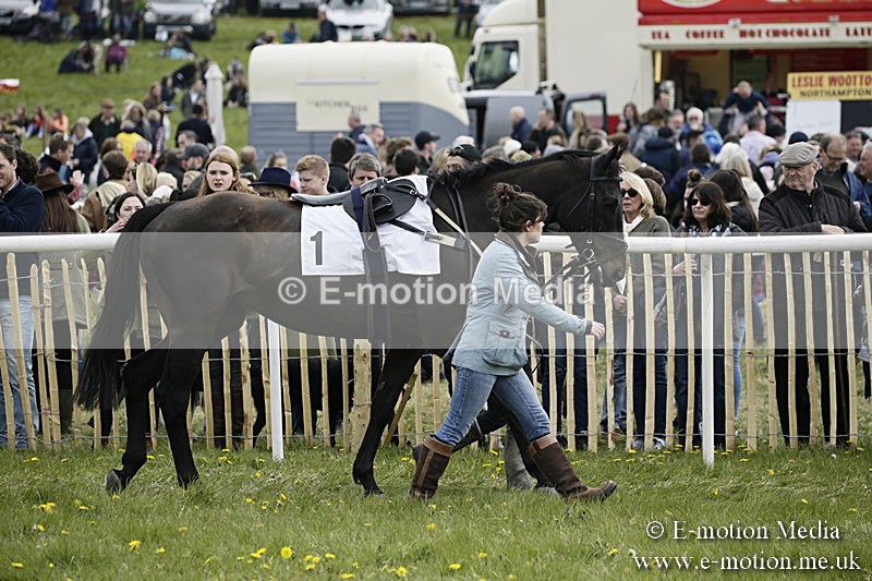 PtP 170417 216 - Old Berks Point-to-Point Lockinge 17/04/17