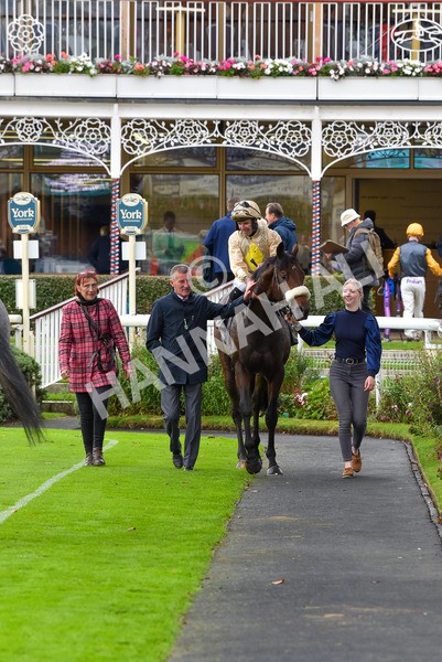131023-Race 3-Apiarist-9441 - Race 3 3.15pm British EBF £100,000 Final