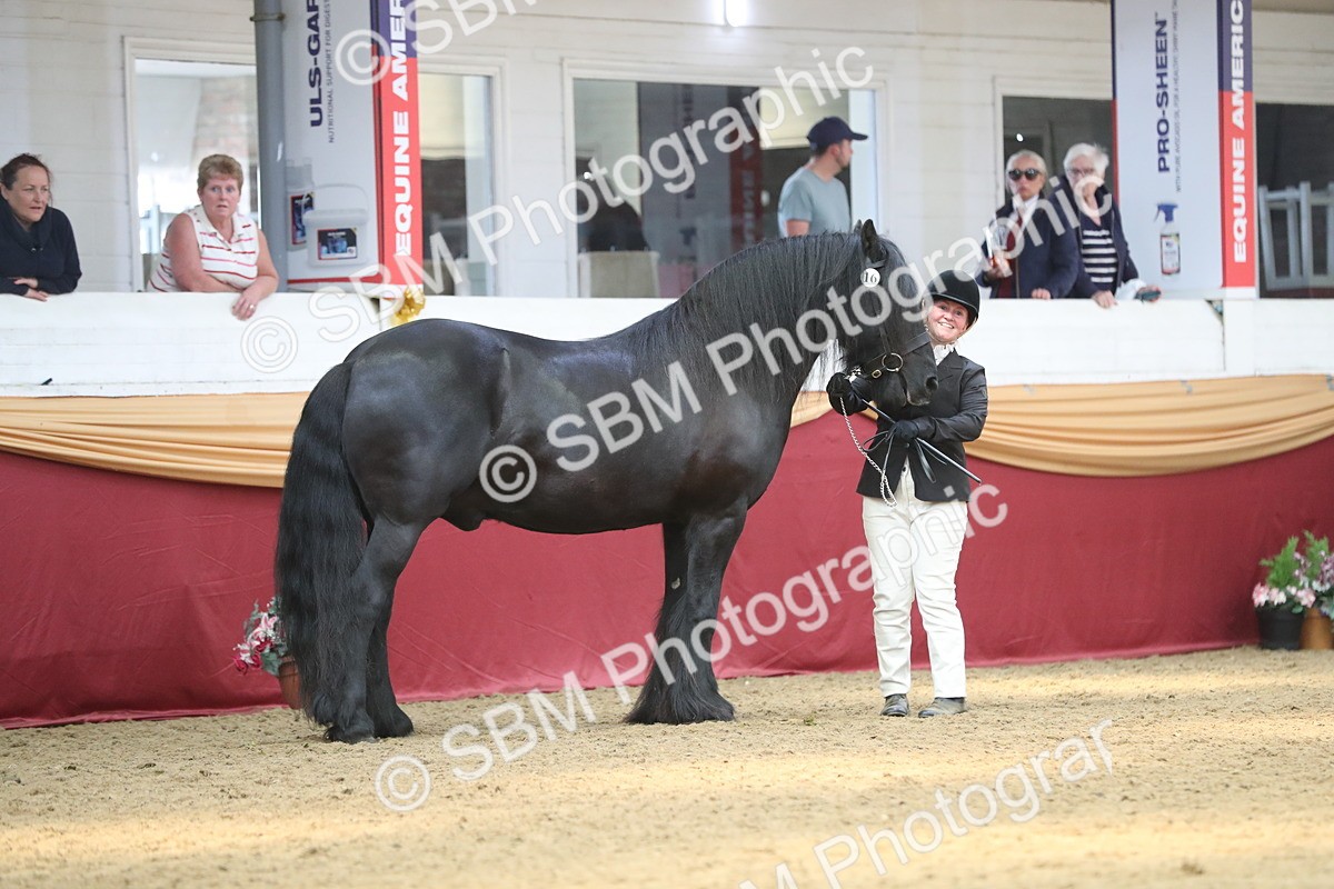 SBM_15292 - Class 501 M&M IH Supreme Final