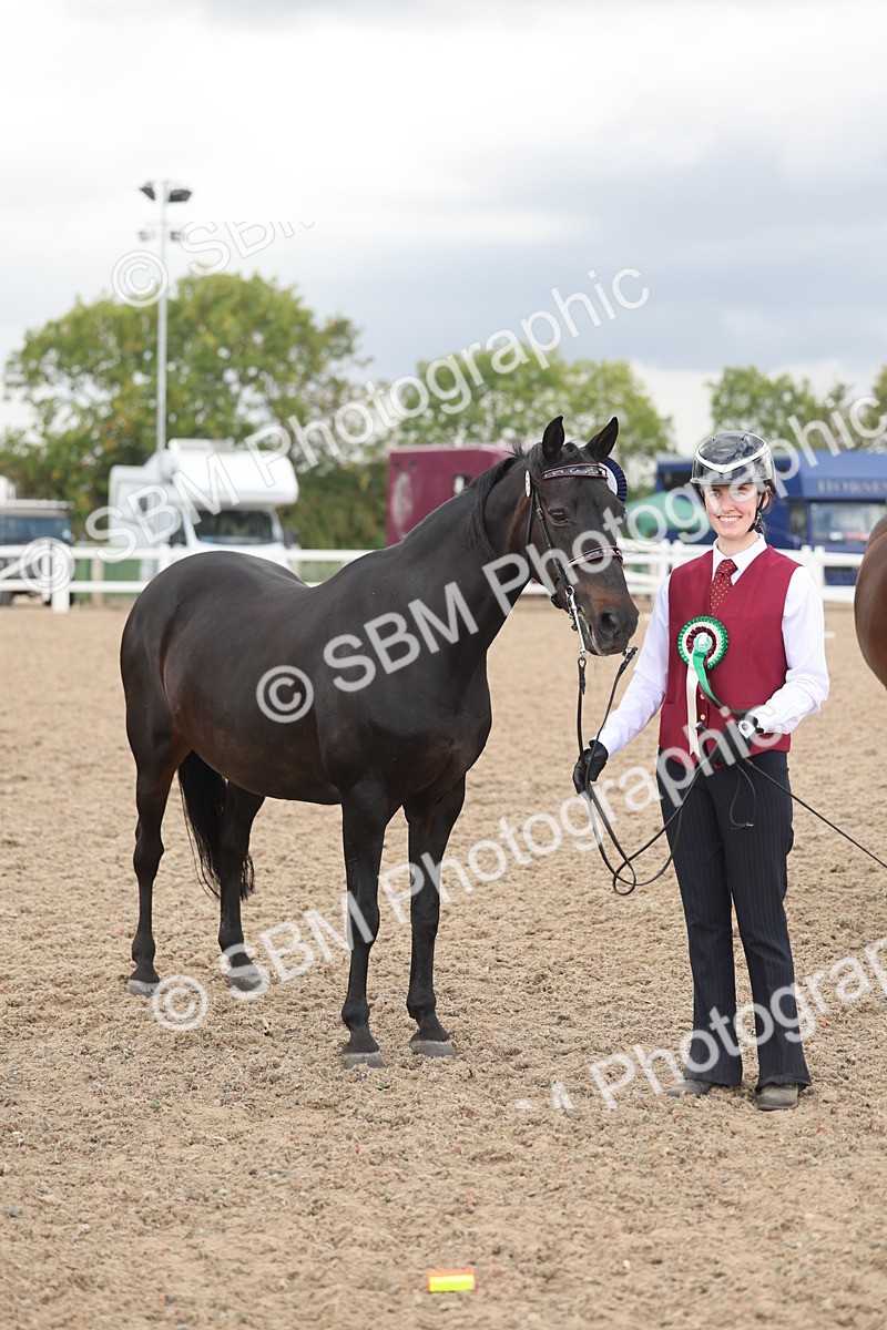 SBM_06926 - Class 25 - IH Foreign Breeds - Purebred