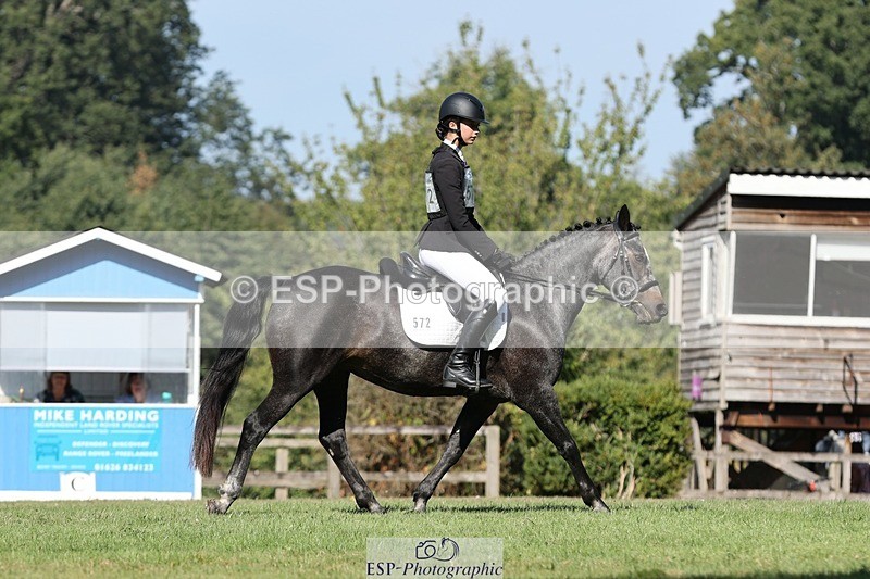 250823A-101606-26798 - Arena D