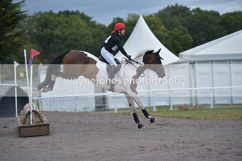 NGP_2142 - XC Time 11:20 to 11:36