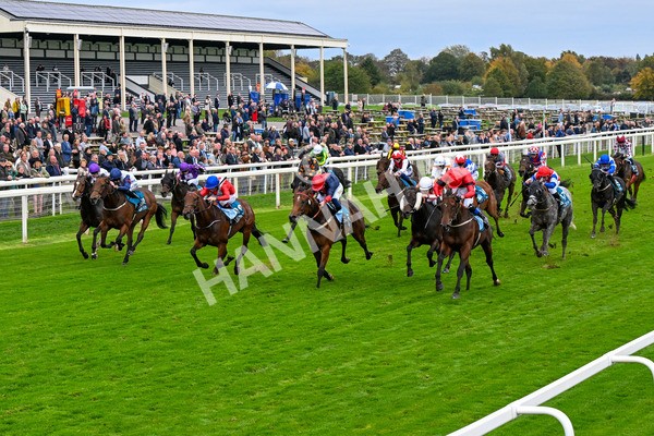 101025-Race 6-Dan Tucker-0476 - Race 6 Copper Knight Winning-Most Horse Handicap at York