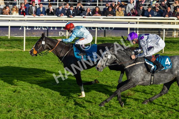 141023-Race 6-Punctuation-1512 - Race 6 4.10pm Coral Get Closer To The Action Handicap