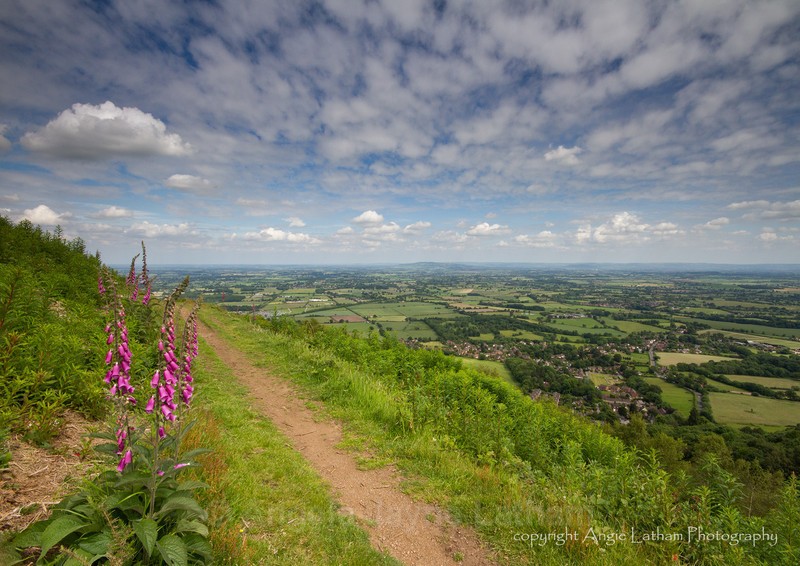 Midsummer's Walk 2 - The Malvern Hills