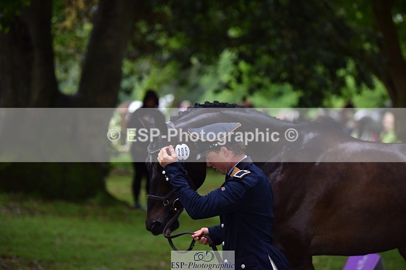 240522-162422-00890 - 205-BENOIT_BOLD-Felix_Etzel