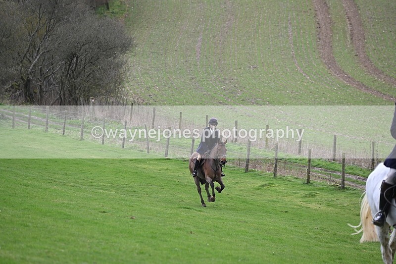 WJ6_8995 - Line Three