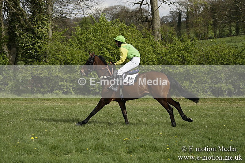 PtP 170417 255 - Old Berks Point-to-Point Lockinge 17/04/17