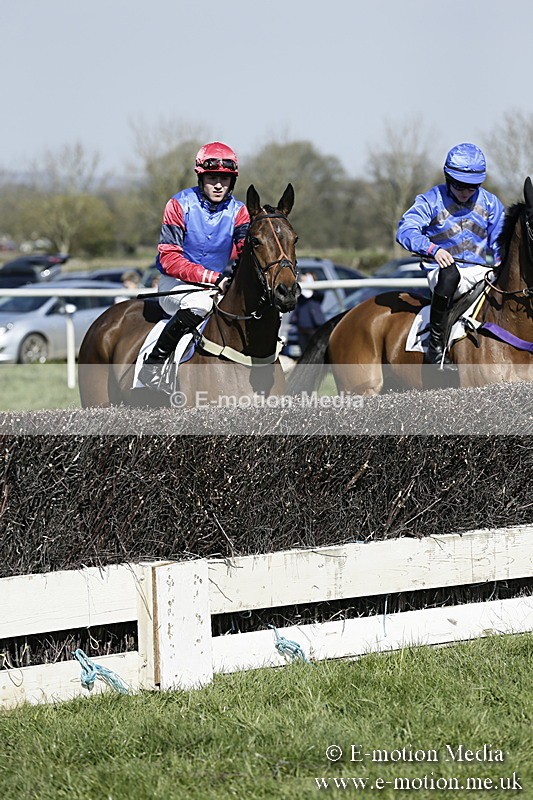 PtP 260317 160 - Mendip Farmers Point-to-Point Ston Easton 26/03/17