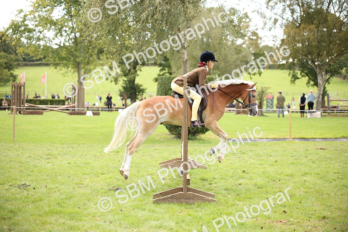SBM_42351 - S13 - Pony Club Pony