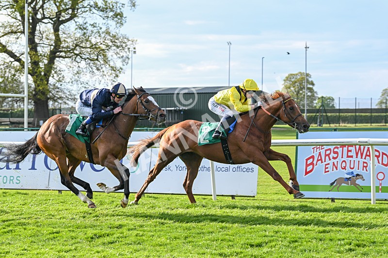 220425-Race 3-Teroomm-8939 - Race 3
