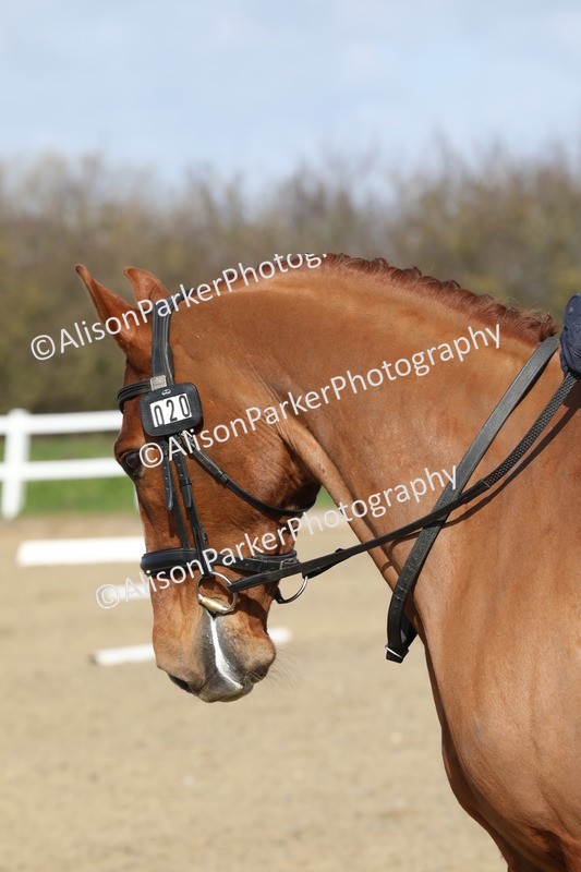 20260314-2200 - CT2 - Prelim 1