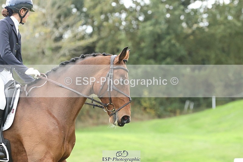 251024A-134441-12468 - F-475-Gracie.Stanbrook