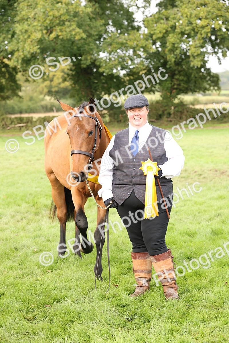 SBM_56278 - S55 - Other Coloured Horse In Hand