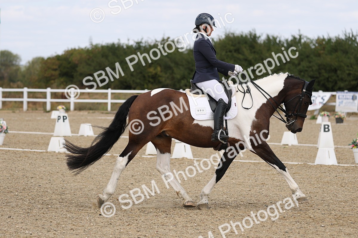 SBM_021092 - Class 21 - M5 Bronze 10.58.12.10