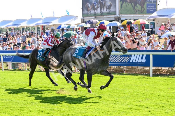 110725-Race 5-Mahras Love-4475 - Race 5 4.32pm Laura Barry Memorial Handicap
