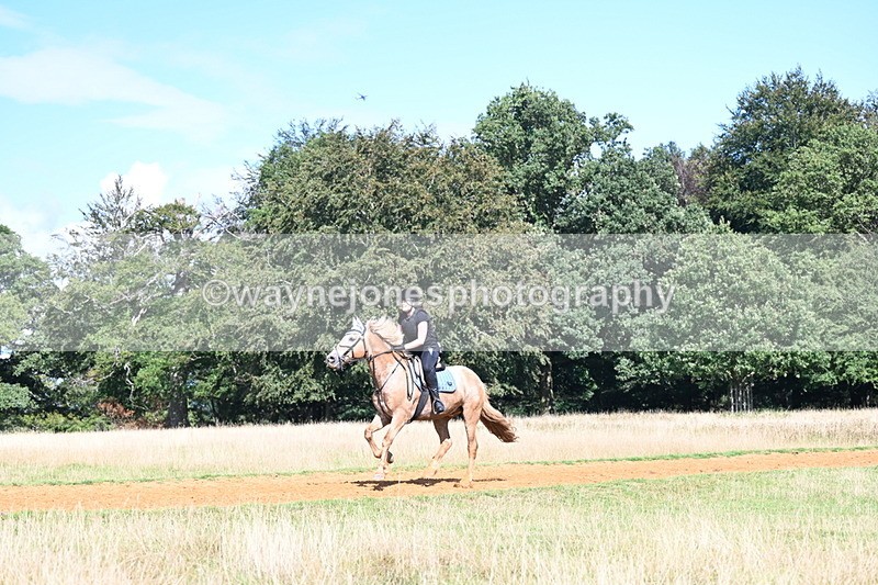 DSC_0143 - Time at Statue 15:58 to 16:05