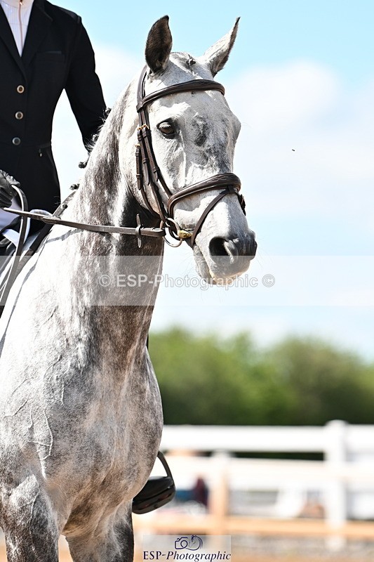 240622A-161553-13062 - Cls 6B+C Novice 30 RoR