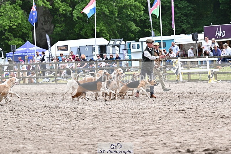 250524A-152314-12708 - East Devon Hounds