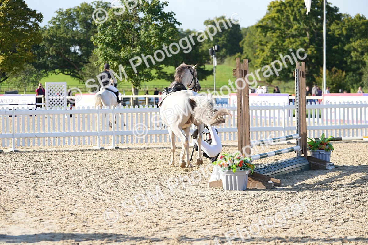 SBM_14343 - J57 - Clear Round 60cm