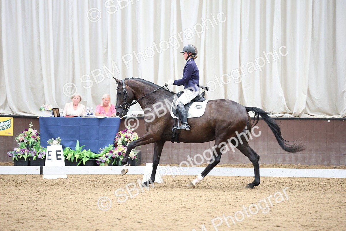 SBM_003498 - Class 5 - Novice 6 Gold - 13.05-14.00