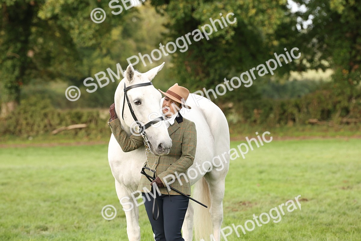 SBM_54704 - S53 - Hunter In Hand