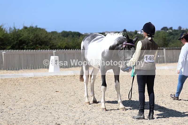 3E7A9911 - In Hand Championship