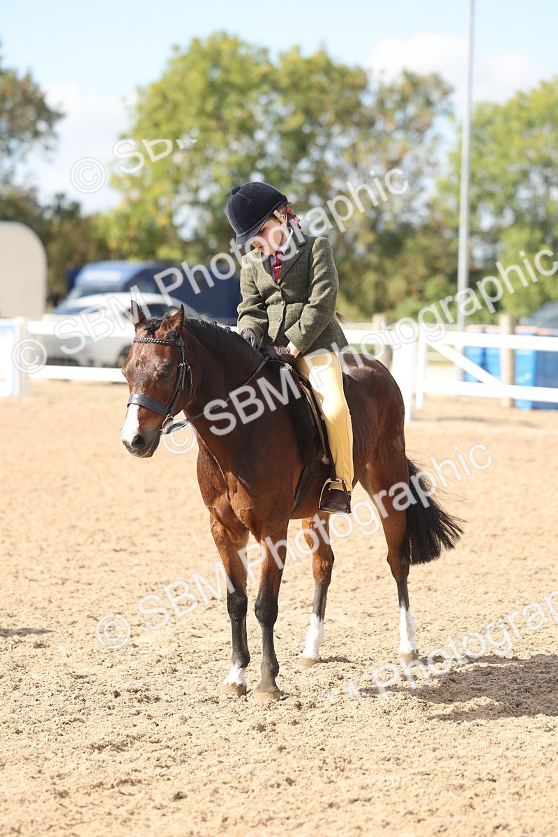 SBM_23173 - Class 806 - Young Rider 10ry and Under